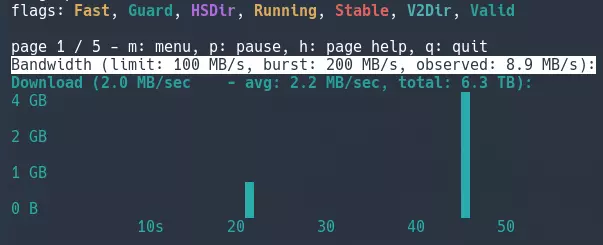 Schermata di Nyx per monitoraggio Tor